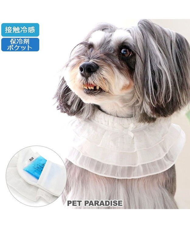 PET PARADISE ペットパラダイス クールバンダナ 《フリル》 小型犬 フリル