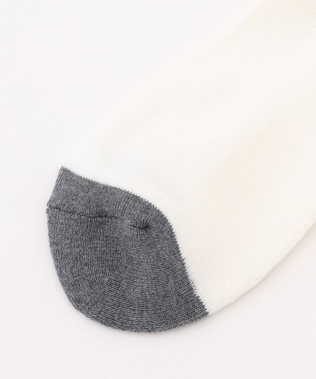 23区GOLF 【MEN】ロゴレギュラーソックス 18cm ホワイト系5
