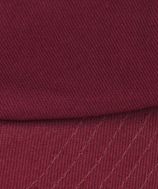 ANY 【POLO BCS別注】キャップ プラム