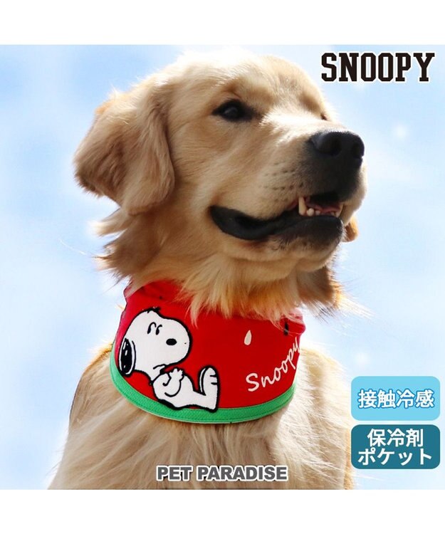 PET PARADISE スヌーピー スイカ柄 クールネック バンダナ 《保冷剤付き》【中型犬】【大型犬】 赤
