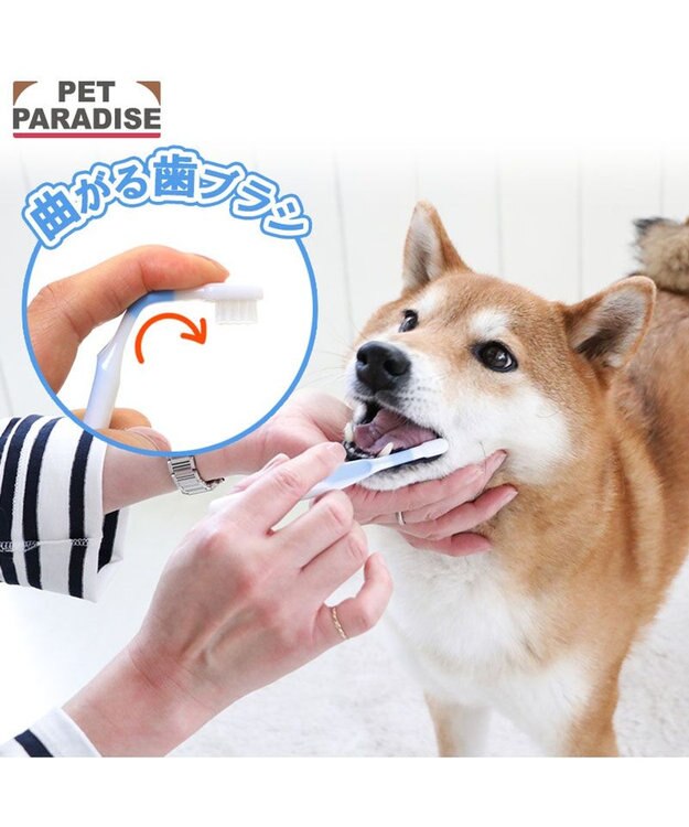 PET PARADISE ペットパラダイス 曲がる歯ブラシ 全犬種用 ホワイト×ブルー