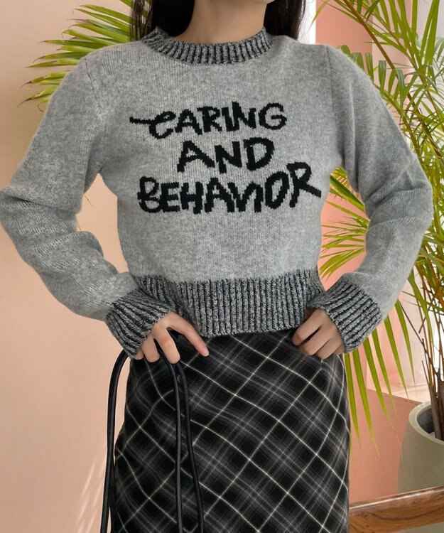 WEGO フラッフィーグラフィックちびニット 杢グレー