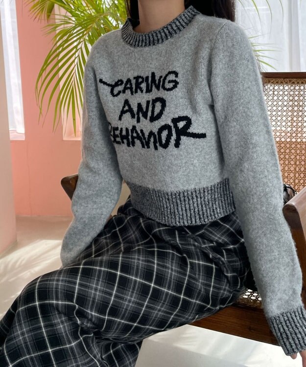 WEGO フラッフィーグラフィックちびニット 杢グレー