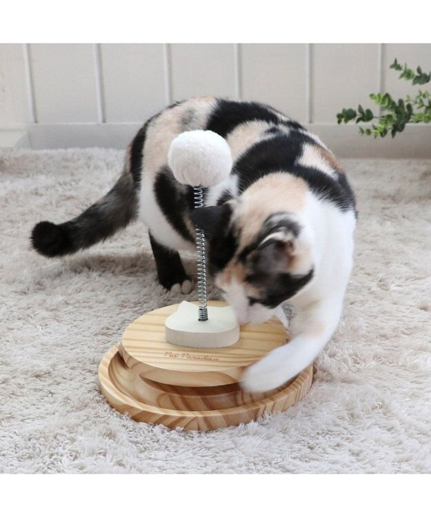 PET PARADISE 猫 木製 コロコロ トイ 茶系
