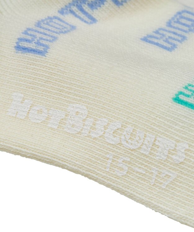 MIKI HOUSE HOT BISCUITS 【9-19cm】クルー丈 ソックスパック2足セット マルチカラー