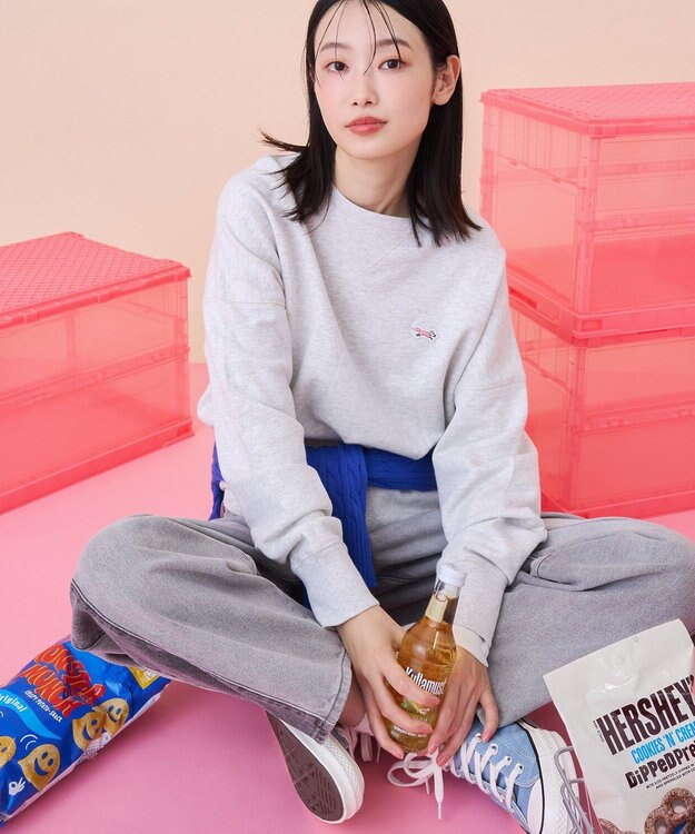 AMERICAN HOLIC 【PENNEY'S】オゾン加工スウェット Gray Mixture