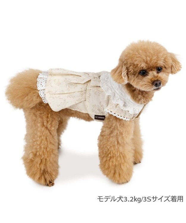 PET PARADISE ペットパラダイス ナチュラルレース ワンピース 小型犬 ベージュ✕ホワイト