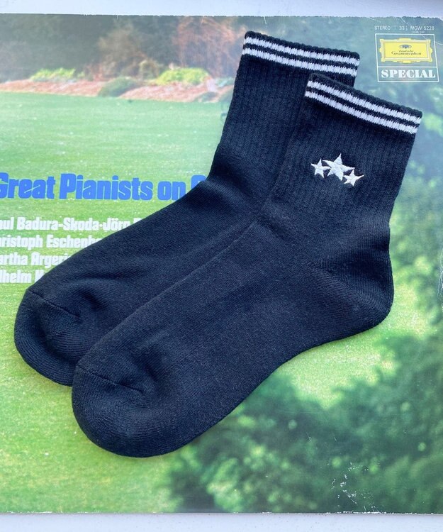 WEGO 底パイルスターラインソックス（14㎝丈） ブラックその他