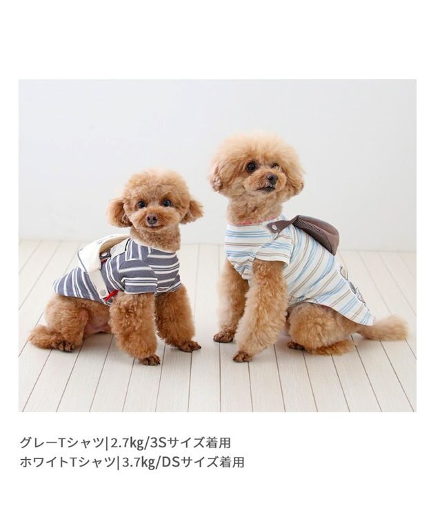 PET PARADISE スヌーピー お揃いTシャツ マルチボーダー《ホワイト》 小型犬 ホワイト
