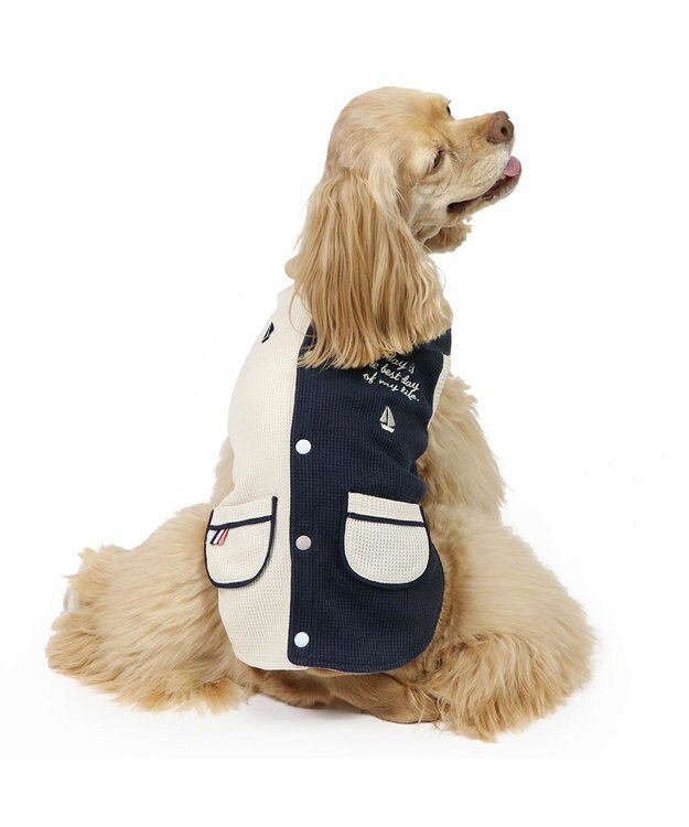 PET PARADISE ペットパラダイス やさしいベスト リバーシブル《マリン柄》 中型犬 大型犬 マリン柄