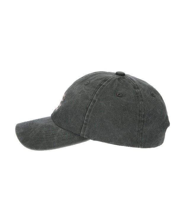 Green Parks ■別注　フルーツオブザルーム　ピグメントＣＡＰ Charcoal Gray