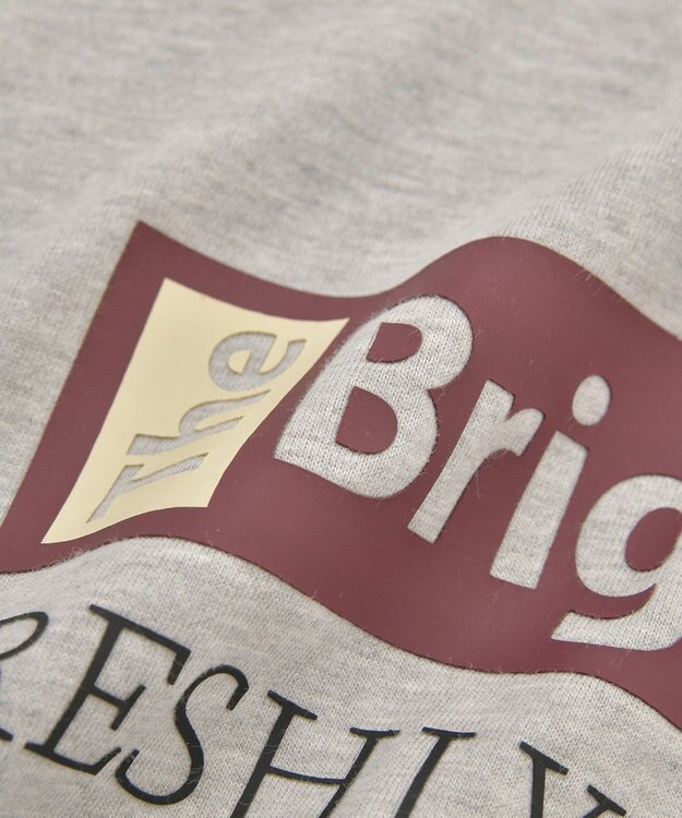 AMERICAN HOLIC カンパニーロゴ風ロングＴシャツ Gray