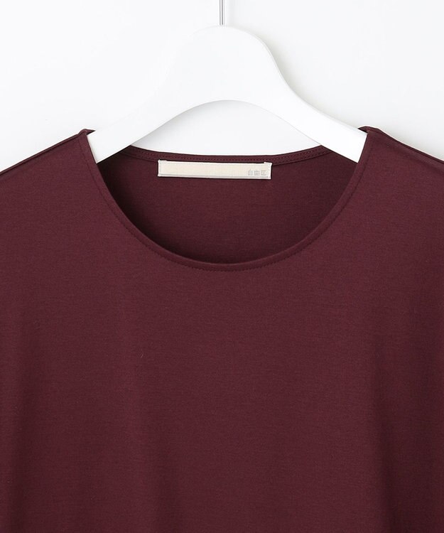 自由区 ナノシアースムース 袖デザイン カットソー ワイン系