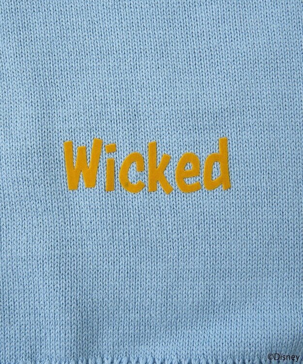 earth music&ecology Ｖｉｌｌａｉｎｓ　ハデス／ニットカーディガン Sax