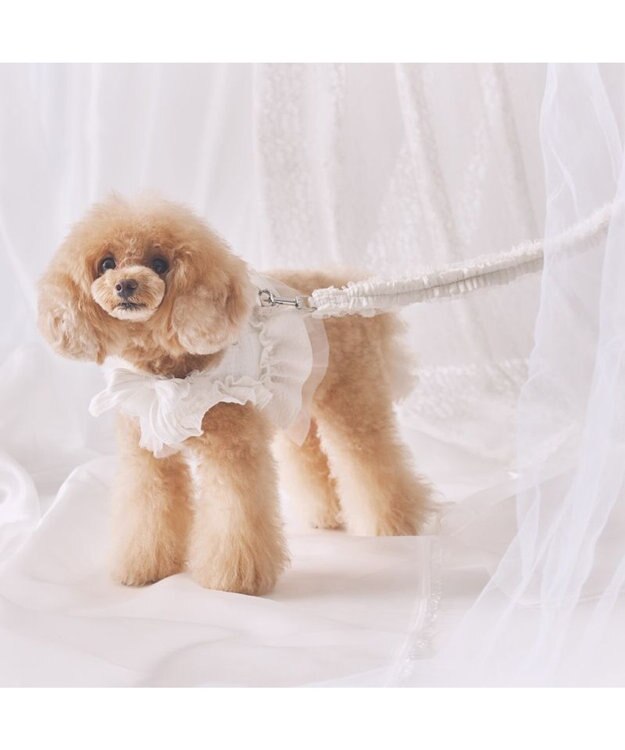 PET PARADISE cherircouture フリフリリード 《ホワイト》ＳＳ～Ｓ  小型犬 ホワイト