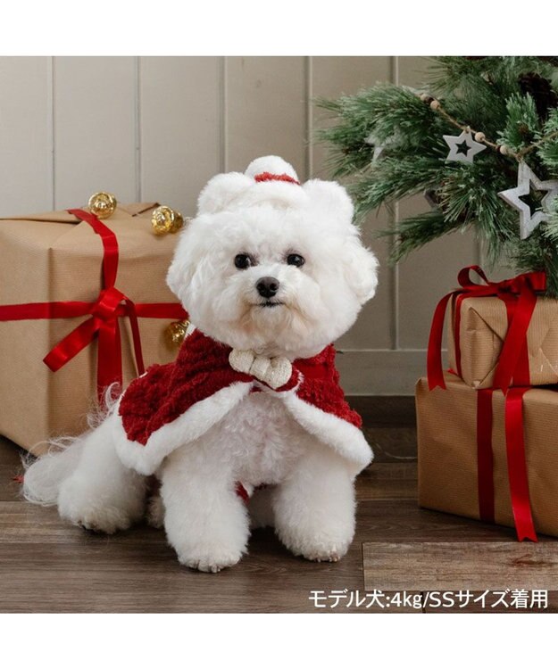 PET PARADISE ペットパラダイス サンタさん くま ポンチョ 小型犬 レッド