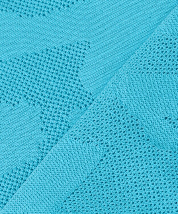 PW CIRCULUS 【MEN】ＤＯＶＥモチーフ ニットモックネック ゴルフ スカイブルー系