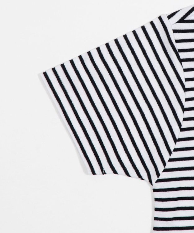 WEGO 【SMLサイズ展開】U.S. POLO ASSN.別注コンパクトTシャツ ホワイトボーダー