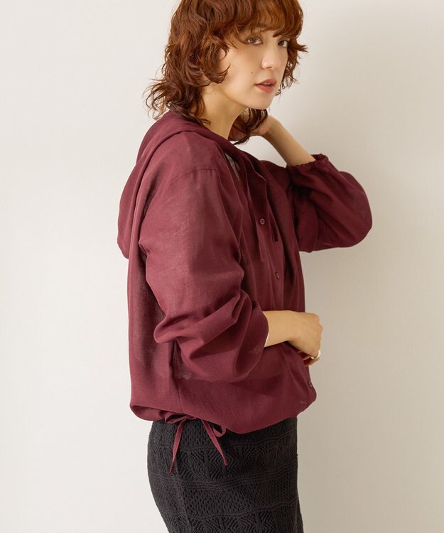 AMERICAN HOLIC シアーフーディーシャツ Chocolat