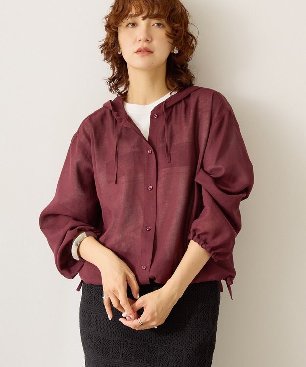 AMERICAN HOLIC シアーフーディーシャツ Chocolat