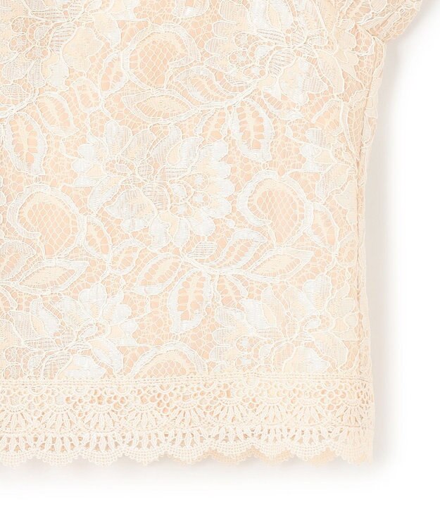 TOCCA TRANSPARENT LACE BOLERO ボレロ ベージュ系