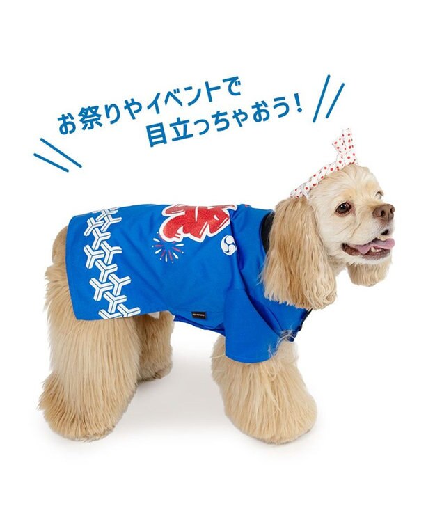 PET PARADISE ペットパラダイス ねじり鉢巻き付き 法被　中型犬 大型犬 ブルー