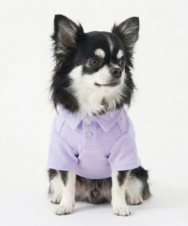 OP／FILA 【Ocean Pacific】ポロシャツ風ドッグウェア ペットウェア ピンク