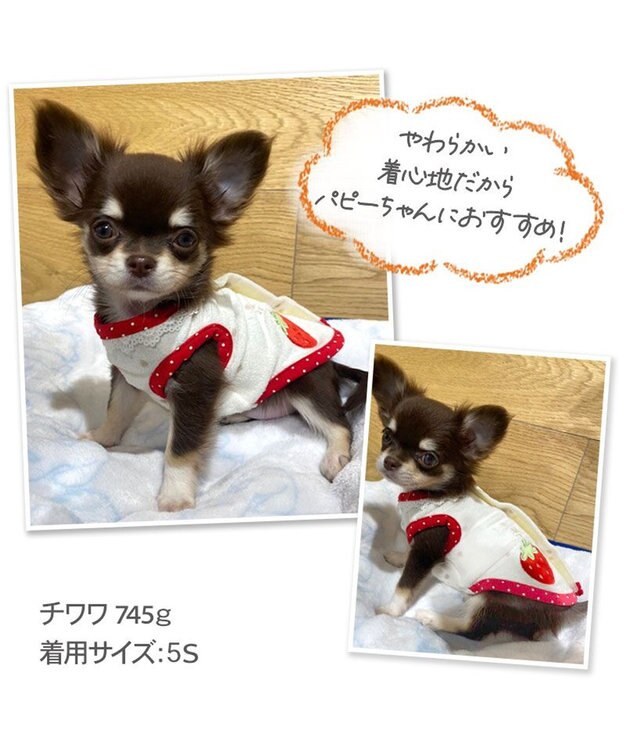 PET PARADISE ペットパラダイス サーモキープ タンクトップ  苺柄 【小型犬】 白~オフホワイト