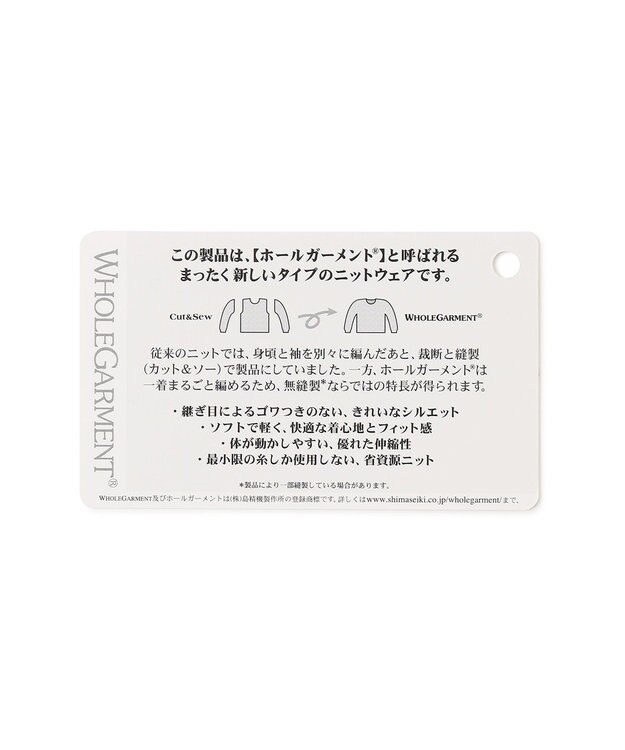 J.PRESS LADIES 【洗える】LINKS WG ホールガーメント ニット ブルー×オフ系