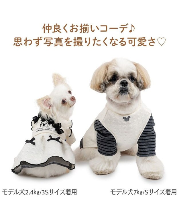 PET PARADISE ディズニー ミッキーマウス エンボス スウェット 小型犬 ホワイト