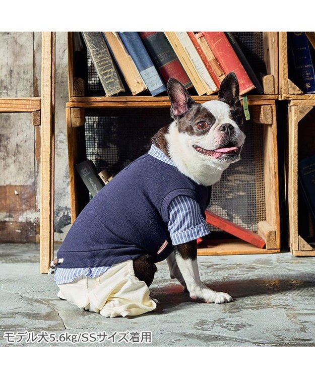 PET PARADISE ペットパラダイス ベスト パンツつなぎ 《ネイビー》 小型犬 ネイビー×ホワイト