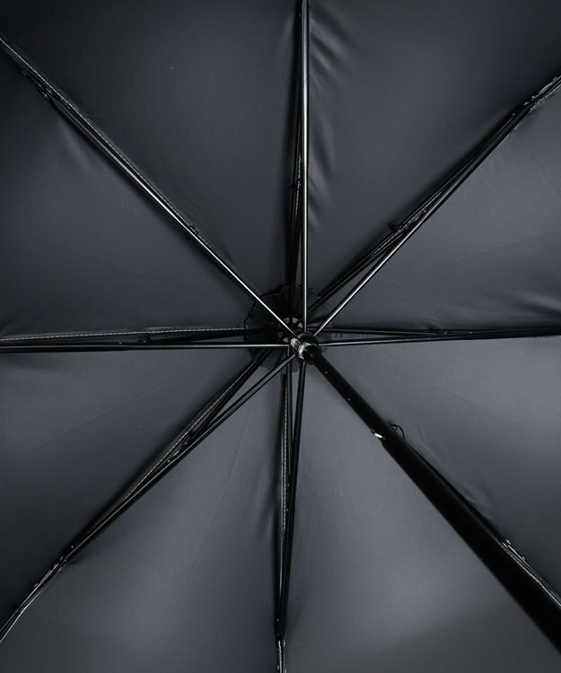 AURORA Beaurance （ビューランス）バイカラーフリル晴雨兼用パラソル（折りたたみ傘） ミントグリーン