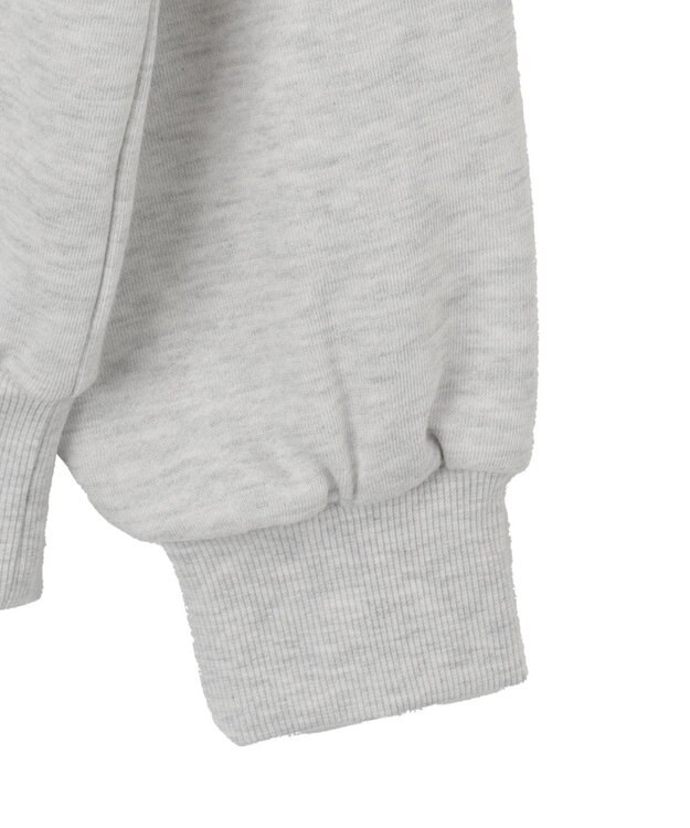 WEGO ロゴビッグプルパーカー ライトグレー