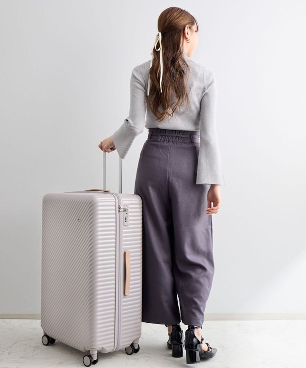 ACE BAGS & LUGGAGE HaNT ココント スーツケース 97L 05516 ハント フォグ・モーブ