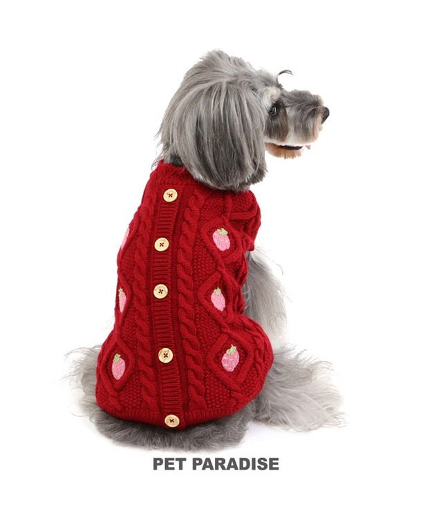 PET PARADISE ペットパラダイス アランニット 苺柄 《レッド》 小型犬 レッド
