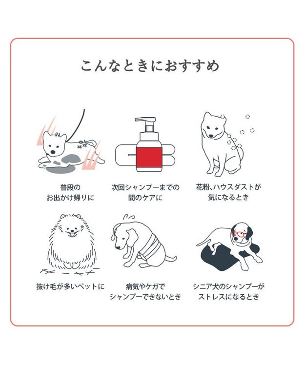 PET PARADISE ペットパラダイス シャンプータオル ボディケアシート 【全犬種用】 10枚入り 赤