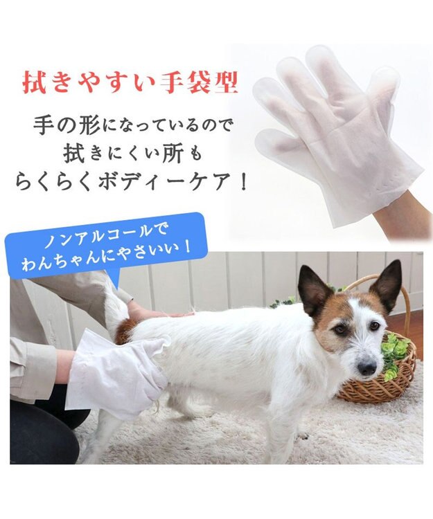 PET PARADISE ペットパラダイス シャンプータオル ボディケアシート 【全犬種用】 10枚入り 赤