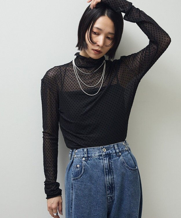 Green Parks ・ＡＮＤＳＥＡＲＣＨ　ドットチュールハイネック Black