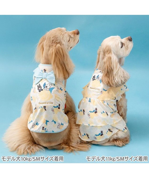 PET PARADISE リサとガスパール エコメイド シトラス ワンピース 中型犬 ホワイト×イエロー