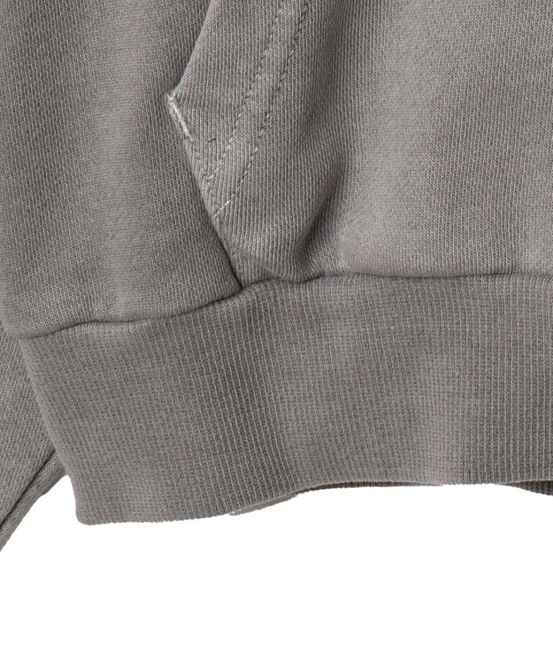 WEGO 【ユニセックス着用ITEM】ピグメントダメージアップリケZIPパーカー グレー