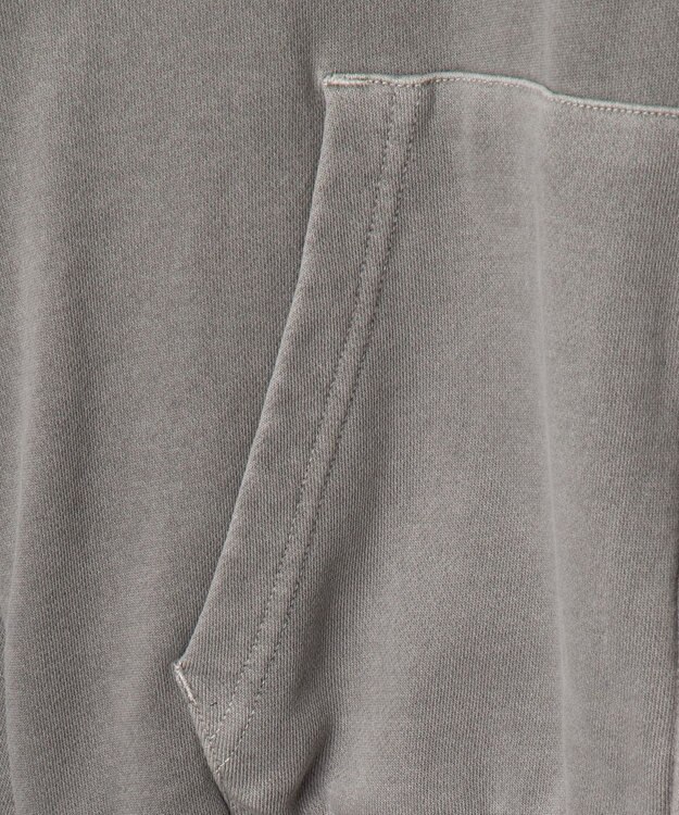 WEGO 【ユニセックス着用ITEM】ピグメントダメージアップリケZIPパーカー グレー