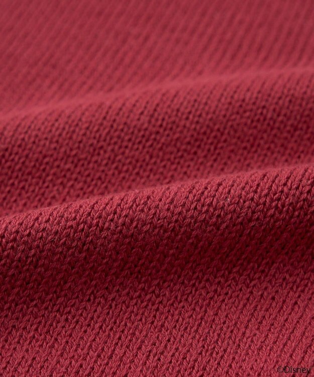 earth music&ecology Ｖｉｌｌａｉｎｓ　クイーン／ニットカーディガン Bordeaux