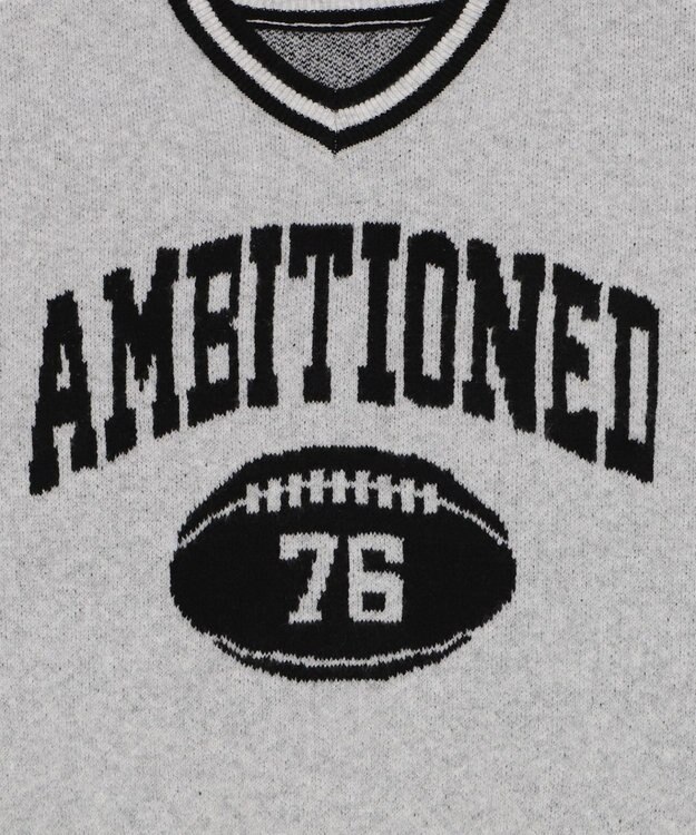 WEGO 【25年秋冬新作】フラッフィーVネックニットBIGプルオーバー アッシュグレー