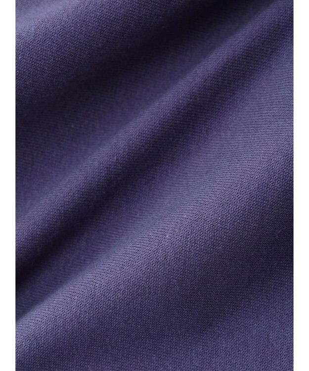 AMERICAN HOLIC Ｂ．Ｈ　ＰＯＬＯ　ＣＬＵＢ　バックプリントＴＥＥ Purple