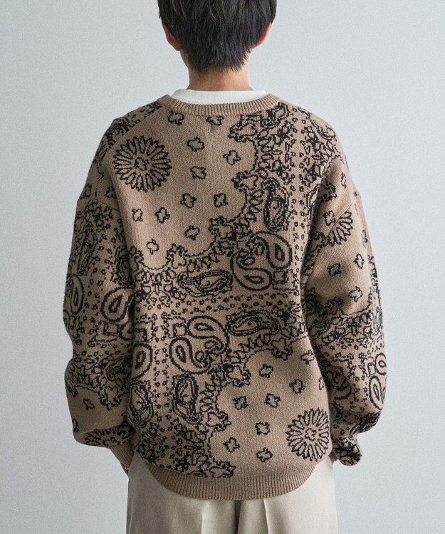 CRAFT STANDARD BOUTIQUE ペイズリー柄ニットプルオーバー Gray Beige