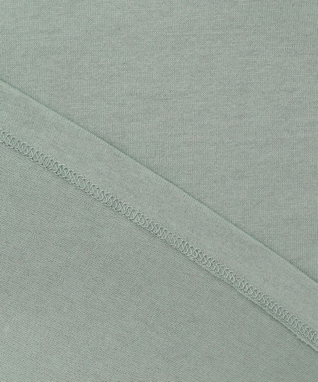 J.PRESS LADIES バック フォト Tシャツ ライトグリーン系