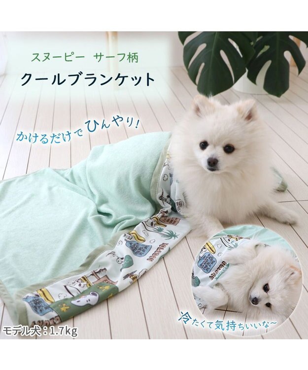 PET PARADISE スヌーピー サーフ柄  クールブランケット (90×60cm) カーキ