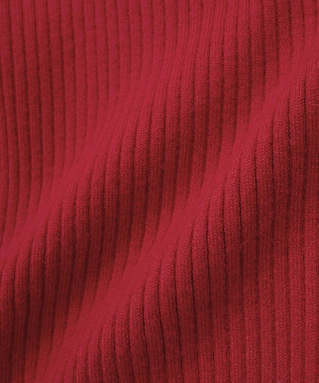 AMERICAN HOLIC バイパチヘンリーネックリブニットプルオーバー Red