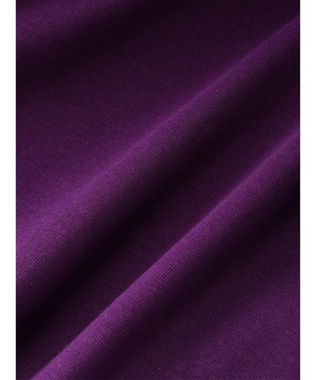 Green Parks 汗染み防止プチハイネックプルオーバー Purple