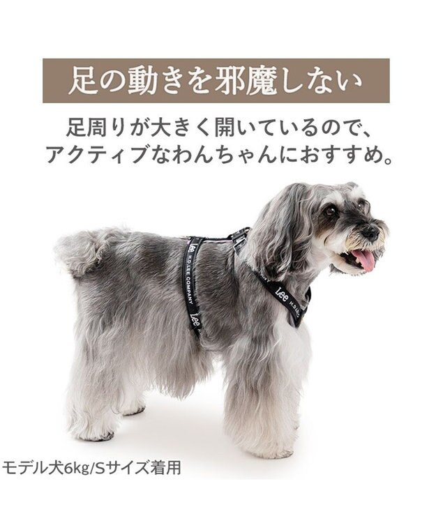 PET PARADISE Lee ロゴアクティブ ハーネス ＳＳ ブラック